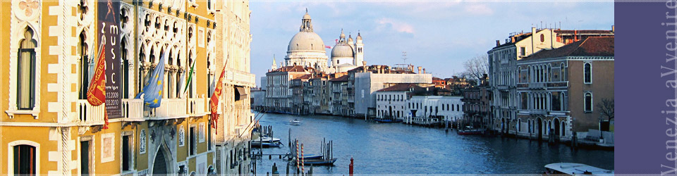 NPO法人：未来のヴェネツィア　Venezia aVvenire